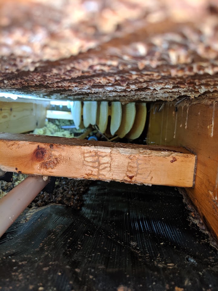 HTS Bees LLC project
