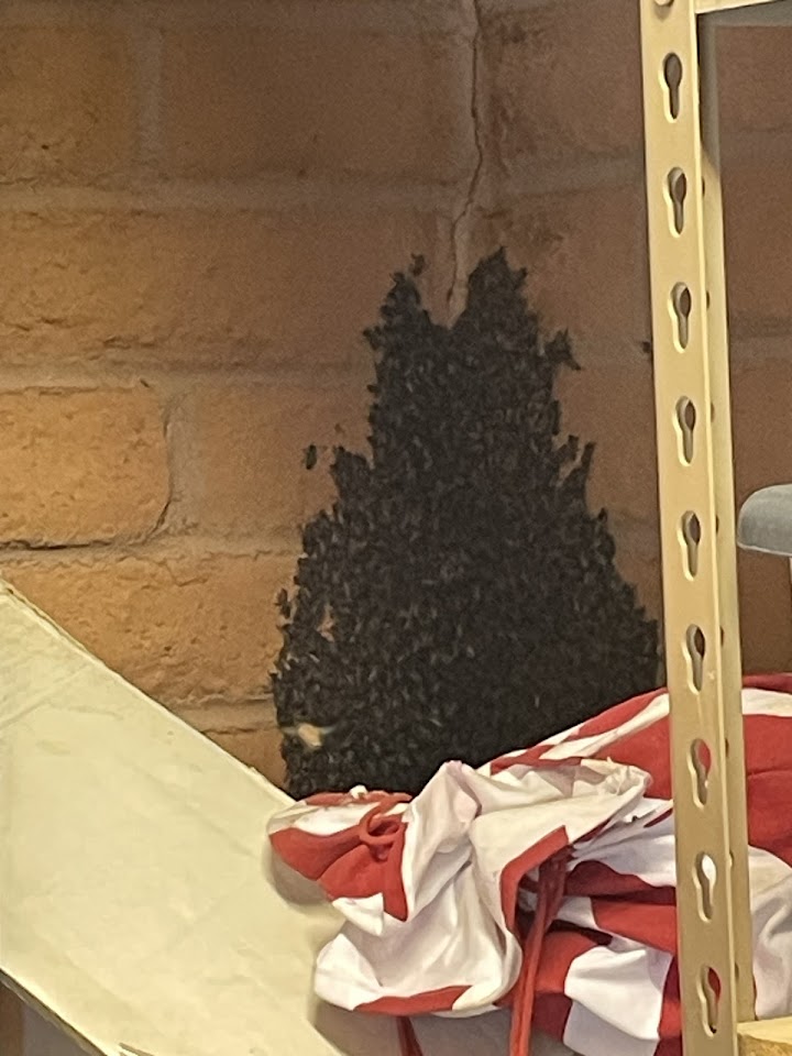 HTS Bees LLC project