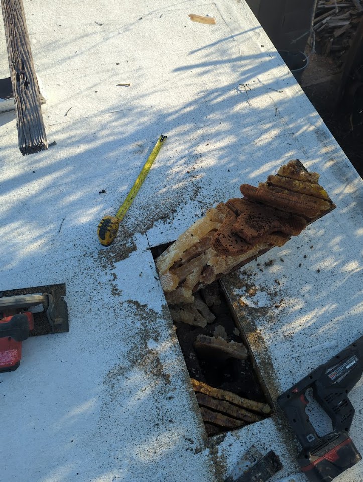HTS Bees LLC project